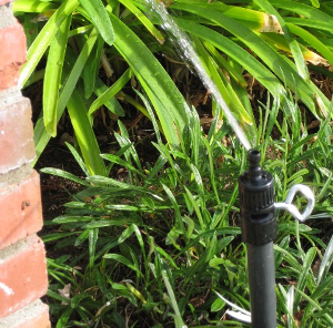 BS50 in conjunction with RX550 BS50 in conjunction with RX550